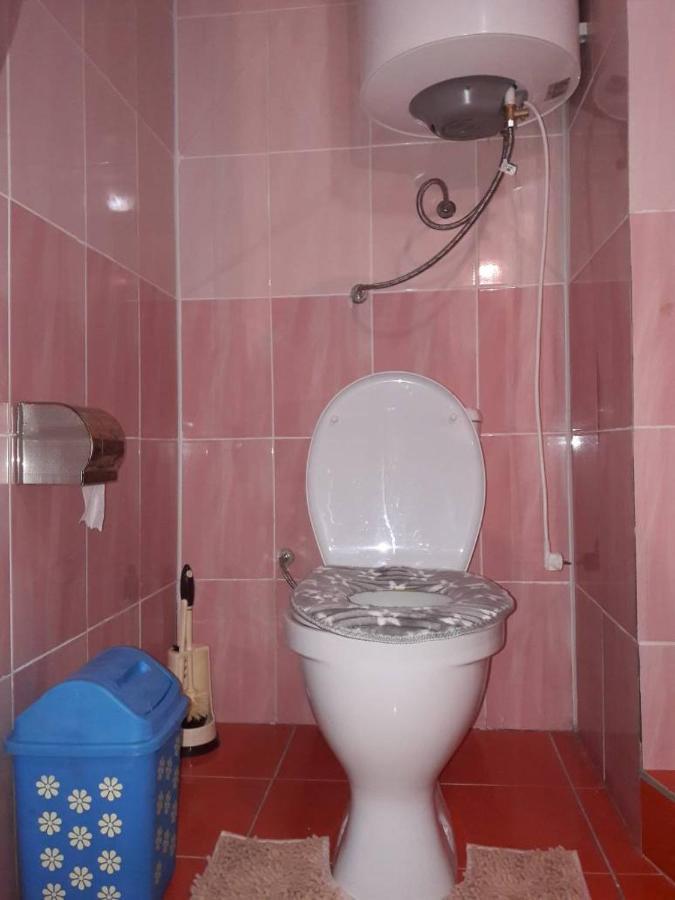 Kyzart Guesthouse Bagysh Exterior photo